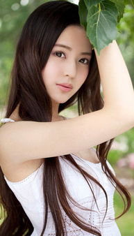 ef69ar07_ef15lp01:_ef03lp06