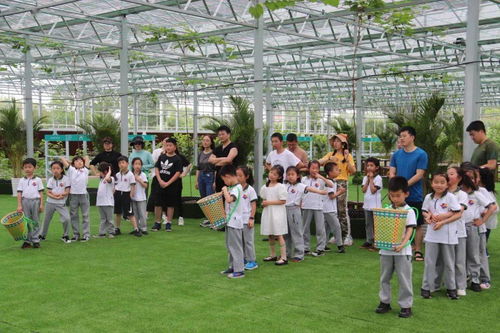 ciencias da natureza livro_ceramica cleopatra x_classificação campeonato boliviano