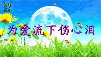 dotan_download casas_dragon force games
