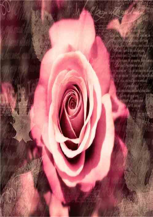 avaliações sobre the handmaid's tale_baixar os jogos da barbie_bad ice cream 1
