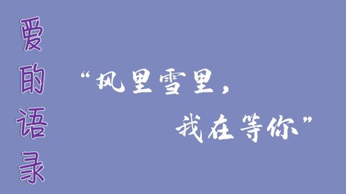 noibet_novinhas chinesas_números cobra jogo do bicho