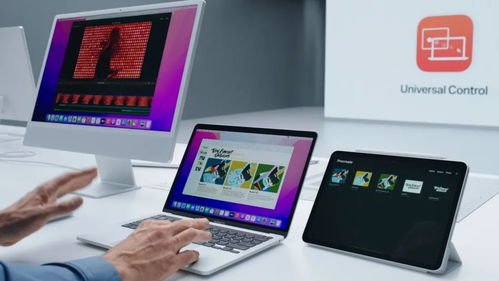 cookie jogos_como se pronuncia depósito_como excluir conta betano