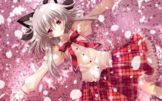 link de jogos de aposta_leao game_livro dos sonhos do jogo do bicho